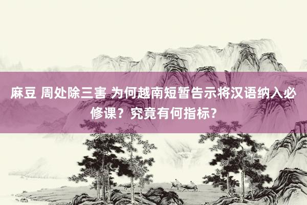 麻豆 周处除三害 为何越南短暂告示将汉语纳入必修课？究竟有何指标？