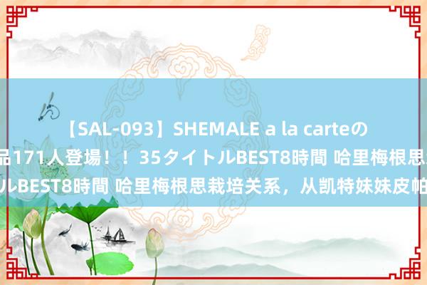 【SAL-093】SHEMALE a la carteの歴史 2008～2011 国内作品171人登場！！35タイトルBEST8時間 哈里梅根思栽培关系，从凯特妹妹皮帕开始