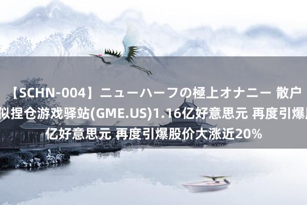 【SCHN-004】ニューハーフの極上オナニー 散户“带头年老”疑似捏仓游戏驿站(GME.US)1.16亿好意思元 再度引爆股价大涨近20%