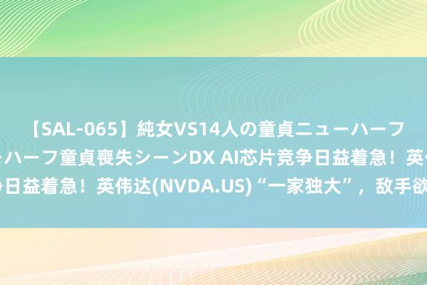 【SAL-065】純女VS14人の童貞ニューハーフ 二度と見れないニューハーフ童貞喪失シーンDX AI芯片竞争日益着急！英伟达(NVDA.US)“一家独大”，敌手欲分一杯羹