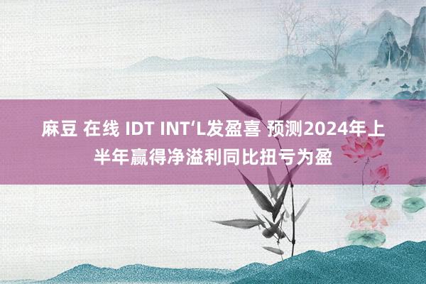 麻豆 在线 IDT INT‘L发盈喜 预测2024年上半年赢得净溢利同比扭亏为盈