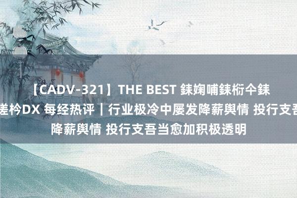 【CADV-321】THE BEST 銇婅哺銇椼仐銇俱仚銆?50浜?鏅傞枔DX 每经热评｜行业极冷中屡发降薪舆情 投行支吾当愈加积极透明