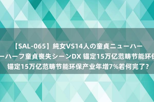 【SAL-065】純女VS14人の童貞ニューハーフ 二度と見れないニューハーフ童貞喪失シーンDX 锚定15万亿范畴节能环保产业年增7%若何完了？