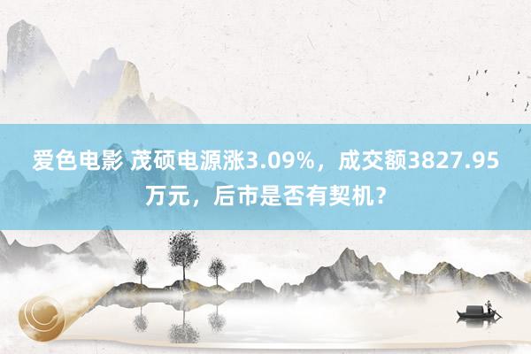 爱色电影 茂硕电源涨3.09%，成交额3827.95万元，后市是否有契机？