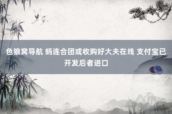 色狼窝导航 蚂连合团或收购好大夫在线 支付宝已开发后者进口